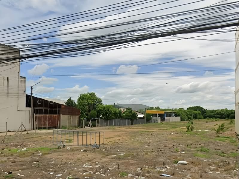 Land for sale in Ratchaburi, Lum Din Subdistrict, in the heart of the city. The land is already leve, Ratchaburi, เพชรเกษม, Lum Din, Muang Ratchaburi, Ratchaburi, , 12,024 sqm, Land For Sale, by Connex Property, 500192864 - DDproperty.com
