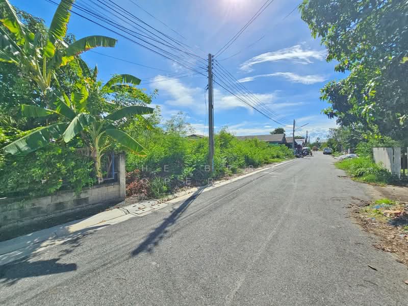 ที่ดินบางพระ ชลบุรี, ฉะเชิงเทรา, บางพระ, เมืองฉะเชิงเทรา, ฉะเชิงเทรา, 88 ตร.ม., ที่ดิน ขาย, โดย The Best Property ปู, 500192958 - DDproperty.com
