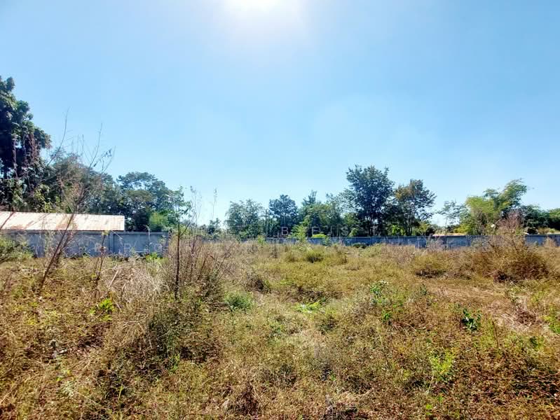 ที่ดินโนนสูง อุดรธานี, Udon Thani, Non Sung, Muang Udon Thani, Udon Thani, , 4,800 sqm, Land For Sale, by The Best Property  เป้า, 500193027 - DDproperty.com