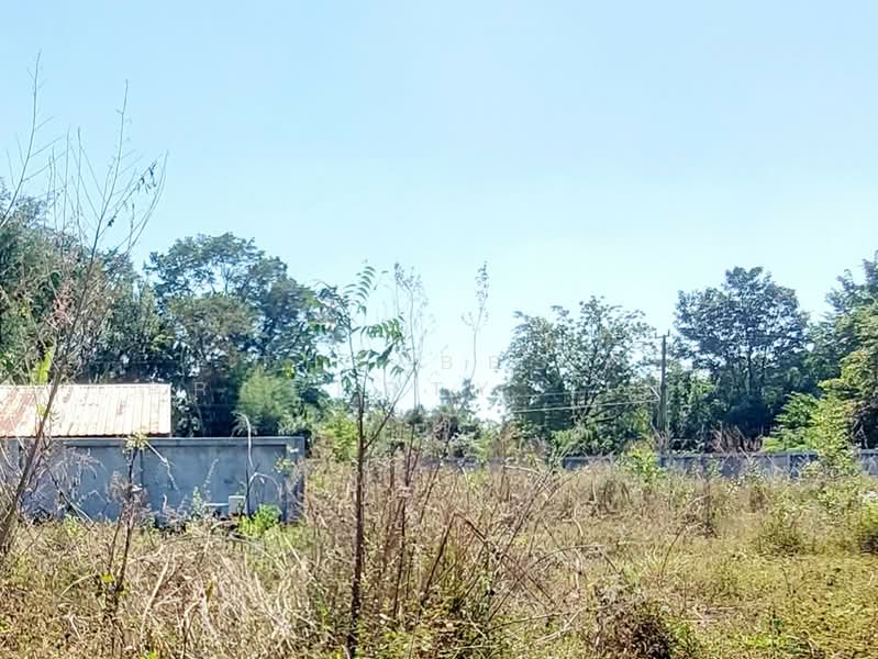 ที่ดินโนนสูง อุดรธานี, Udon Thani, Non Sung, Muang Udon Thani, Udon Thani, , 4,800 sqm, Land For Sale, by The Best Property  เป้า, 500193027 - DDproperty.com