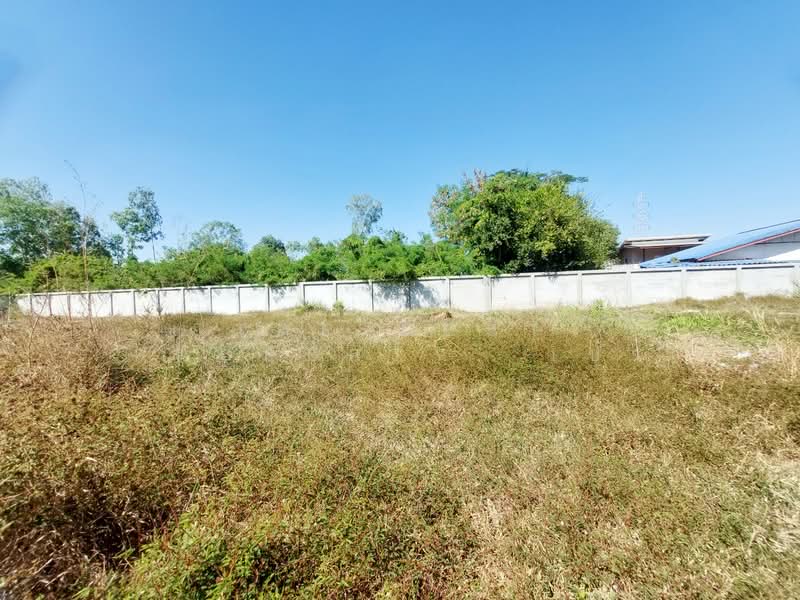 ที่ดินโนนสูง อุดรธานี, Udon Thani, Non Sung, Muang Udon Thani, Udon Thani, , 4,800 sqm, Land For Sale, by The Best Property  เป้า, 500193027 - DDproperty.com