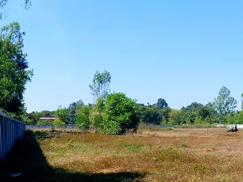 ที่ดินโนนสูง อุดรธานี, Udon Thani, Non Sung, Muang Udon Thani, Udon Thani, , 4,800 sqm, Land For Sale, by The Best Property  เป้า, 500193027 - DDproperty.com