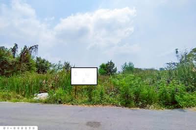 ขาย - NI-065278 ที่ดินคลองหก 200 ตร.ว. ปทุมธานี ใกล้มหาวิทยาลัยเทคโนโลยีราชมงคลธัญบุรี, ปทุมธานี