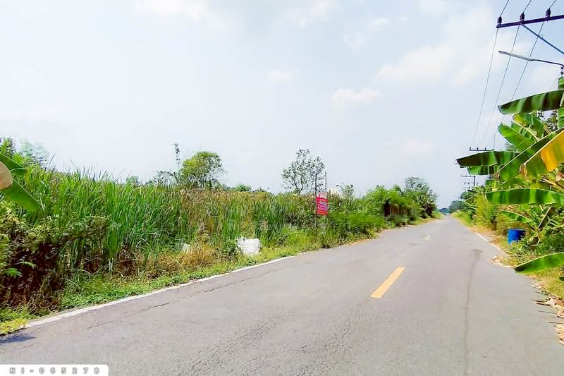 NI-065278 ที่ดินคลองหก 200 ตร.ว. ปทุมธานี ใกล้มหาวิทยาลัยเทคโนโลยีราชมงคลธัญบุรี, ปทุมธานี, คลองหก, คลองหลวง, ปทุมธานี, 800 ตร.ม., ที่ดิน ขาย, โดย เบ็ญจวริณ ภัคเวทพิสิษฐ์(เบ็ญ), 500193044 - DDproperty.com