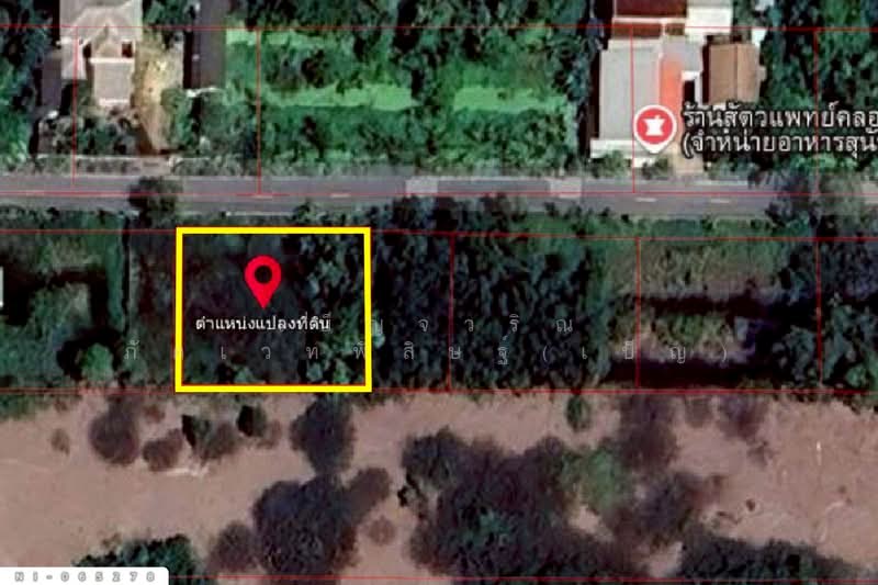 NI-065278 ที่ดินคลองหก 200 ตร.ว. ปทุมธานี ใกล้มหาวิทยาลัยเทคโนโลยีราชมงคลธัญบุรี, ปทุมธานี, คลองหก, คลองหลวง, ปทุมธานี, 800 ตร.ม., ที่ดิน ขาย, โดย เบ็ญจวริณ ภัคเวทพิสิษฐ์(เบ็ญ), 500193044 - DDproperty.com