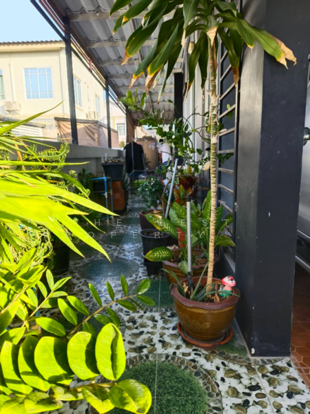 Prapassorn Ville Amata Nakorn, Chon Buri (Pattaya), Sukprayoon Road, Na Pa, Muang Chon Buri, Chon Buri (Pattaya), 2 Bedrooms, 100 sqm, Townhouse For Sale, by The Best Property แก้มยุ้ย, 500193159 - DDproperty.com
