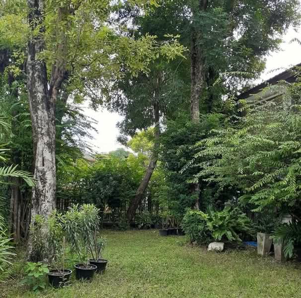 Sammakon Ramkhamhaeng, Bangkok, Ramkhamhaeng Road, Saphan Sung, Saphan Sung, Bangkok, 4 Bedrooms, 250 sqm, Single Detached House For Sale, by Chavis Laismit, 500193198 - DDproperty.com