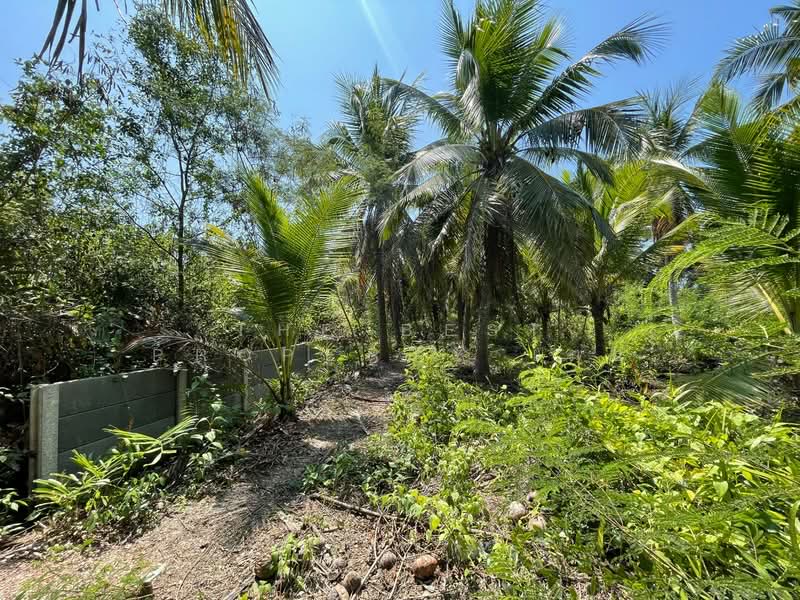 For Sale - ที่ดินคลองเขิน สมุทรสงคราม, Samut Songkhram