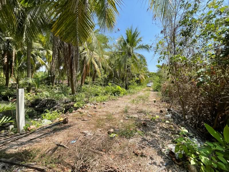 For Sale - ที่ดินคลองเขิน สมุทรสงคราม, Samut Songkhram