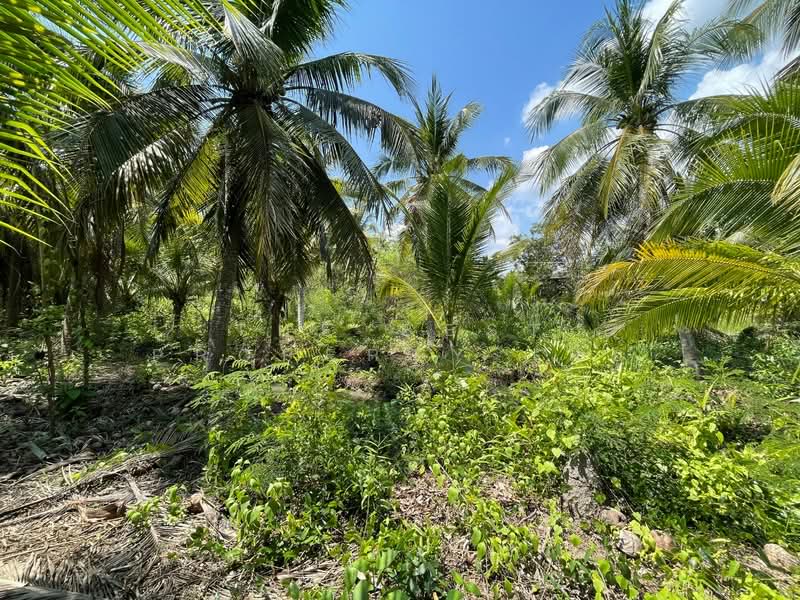 For Sale - ที่ดินคลองเขิน สมุทรสงคราม, Samut Songkhram