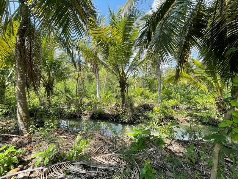 For Sale - ที่ดินคลองเขิน สมุทรสงคราม, Samut Songkhram