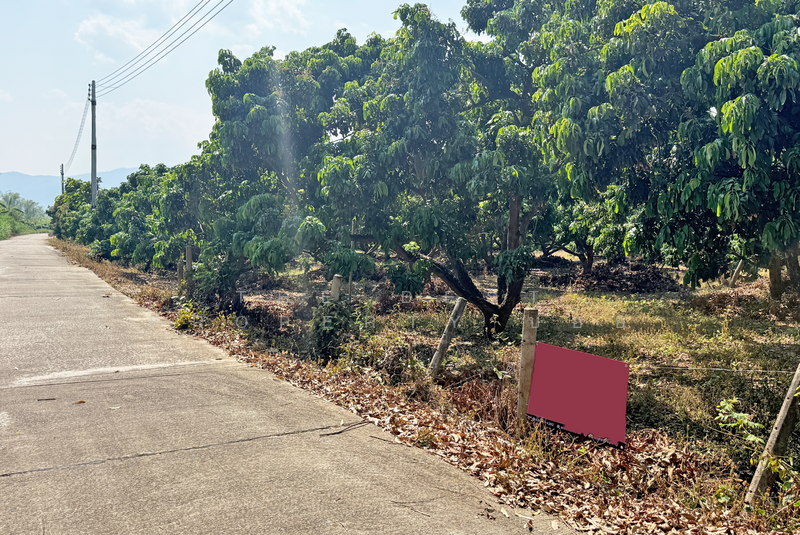 ที่ดินเวียงหนองล่อง ลำพูน, ลำพูน, หนองล่อง, เวียงหนองล่อง, ลำพูน, 892 ตร.ม., ที่ดิน ขาย, โดย The Best Property บอย, 500193657 - DDproperty.com