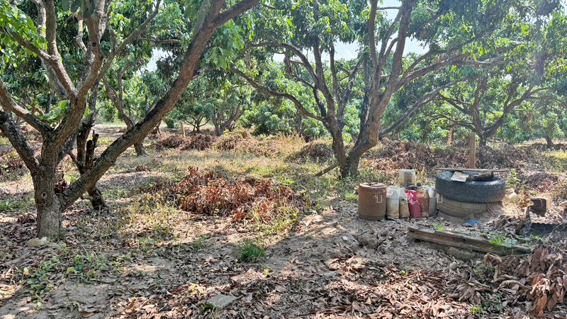 ที่ดินเวียงหนองล่อง ลำพูน, Lamphun, Nong Long, Wieng Nong long, Lamphun, , 892 sqm, Land For Sale, by The Best Property บอย, 500193657 - DDproperty.com