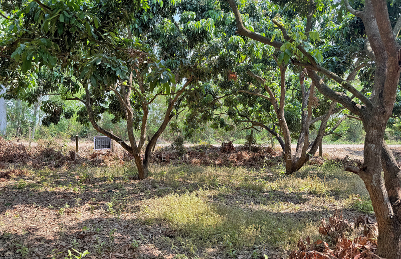 ที่ดินเวียงหนองล่อง ลำพูน, Lamphun, Nong Long, Wieng Nong long, Lamphun, , 892 sqm, Land For Sale, by The Best Property บอย, 500193657 - DDproperty.com