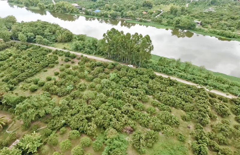 ที่ดินเวียงหนองล่อง ลำพูน, Lamphun, Nong Long, Wieng Nong long, Lamphun, , 892 sqm, Land For Sale, by The Best Property บอย, 500193657 - DDproperty.com