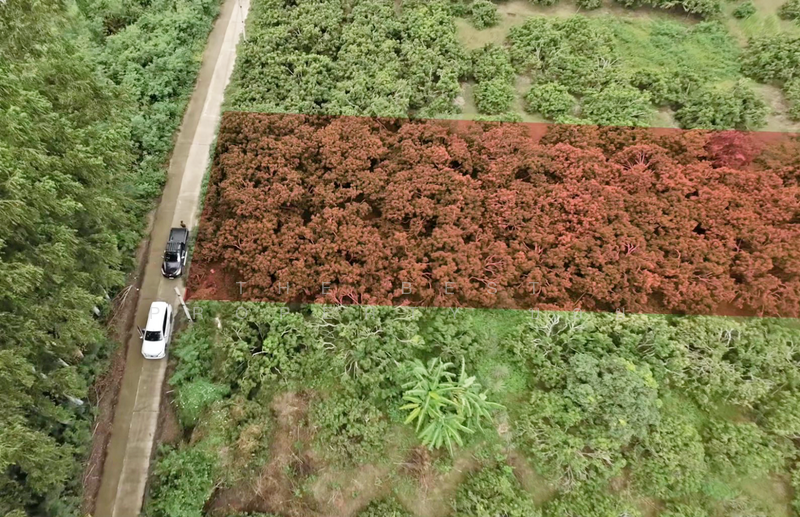 ที่ดินเวียงหนองล่อง ลำพูน, ลำพูน, หนองล่อง, เวียงหนองล่อง, ลำพูน, 892 ตร.ม., ที่ดิน ขาย, โดย The Best Property บอย, 500193657 - DDproperty.com