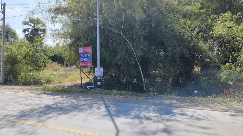 ขายด่วนที่ดินแปลงใหญ่ ริมคลองชลประทาน อ.หนองเสือ จ.ปทุมธานี, Pathum Thani, Noparat, Nong Sua, Pathum Thani, , 91,084 sqm, Land For Sale, by Anumas Hangkul, 500193804 - DDproperty.com