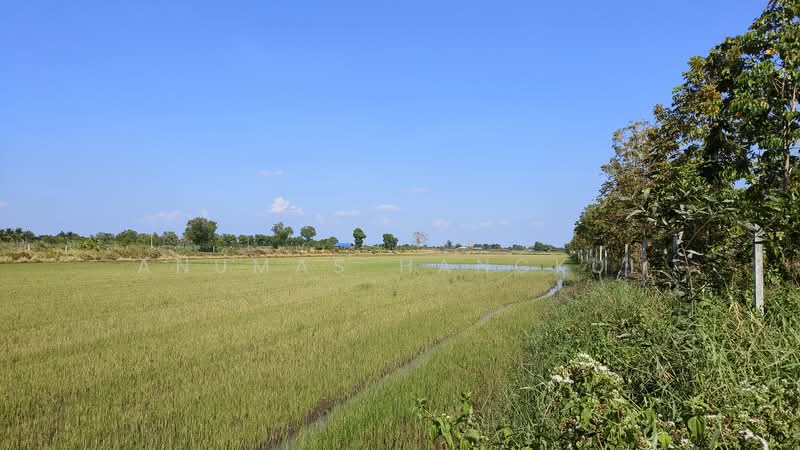 ขายด่วนที่ดินแปลงใหญ่ ริมคลองชลประทาน อ.หนองเสือ จ.ปทุมธานี, Pathum Thani, Noparat, Nong Sua, Pathum Thani, , 91,084 sqm, Land For Sale, by Anumas Hangkul, 500193804 - DDproperty.com