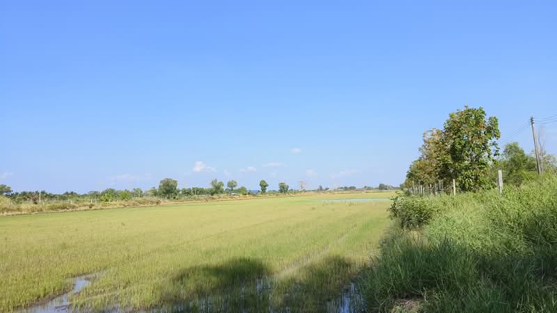 ขายด่วนที่ดินแปลงใหญ่ ริมคลองชลประทาน อ.หนองเสือ จ.ปทุมธานี, Pathum Thani, Noparat, Nong Sua, Pathum Thani, , 91,084 sqm, Land For Sale, by Anumas Hangkul, 500193804 - DDproperty.com