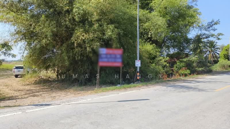 ขายด่วนที่ดินแปลงใหญ่ ริมคลองชลประทาน อ.หนองเสือ จ.ปทุมธานี, Pathum Thani, Noparat, Nong Sua, Pathum Thani, , 91,084 sqm, Land For Sale, by Anumas Hangkul, 500193804 - DDproperty.com