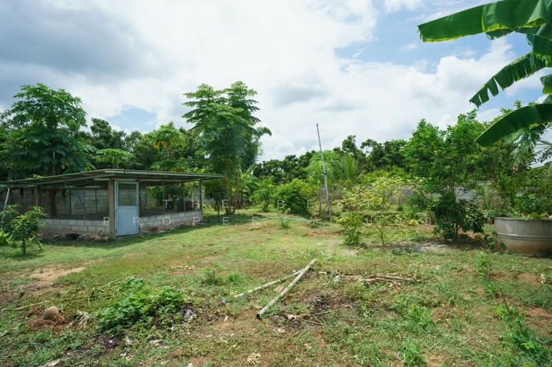 บ้านเดี่ยวเวียงหนองล่อง ลำพูน, Lamphun, Nong Long, Wieng Nong long, Lamphun, 1 Bedroom, 310 sqm, Single Detached House For Sale, by The Best Property บอย, 500193812 - DDproperty.com