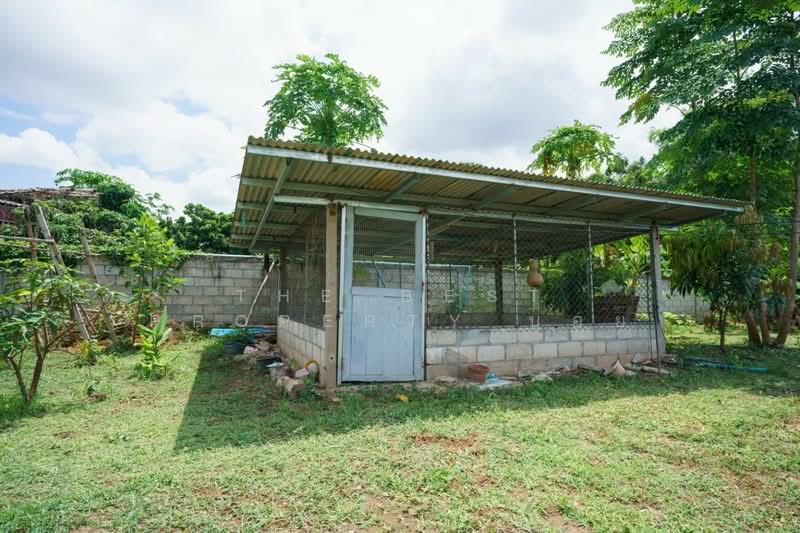 บ้านเดี่ยวเวียงหนองล่อง ลำพูน, Lamphun, Nong Long, Wieng Nong long, Lamphun, 1 Bedroom, 310 sqm, Single Detached House For Sale, by The Best Property บอย, 500193812 - DDproperty.com