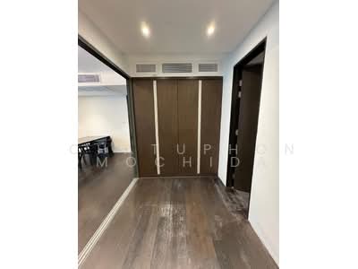 ขาย - Siamese Gioia : ไซมิส จอยญ่า, กรุงเทพ