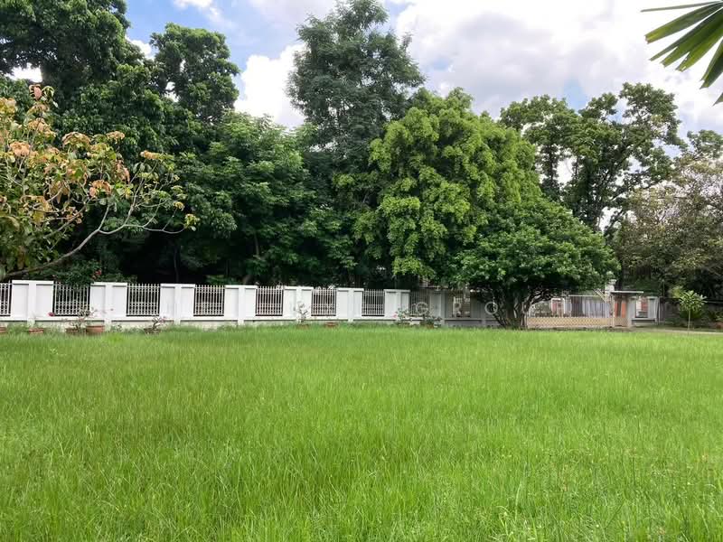 Navatanee Residence : หมู่บ้านนวธานี เรสซิเดนซ์, กรุงเทพ, ถนนนวธานี, รามอินทรา, คันนายาว, กรุงเทพ, 980 ตร.ม., บ้านเดี่ยว ขาย, โดย The Luxe Group, 500193982 - DDproperty.com