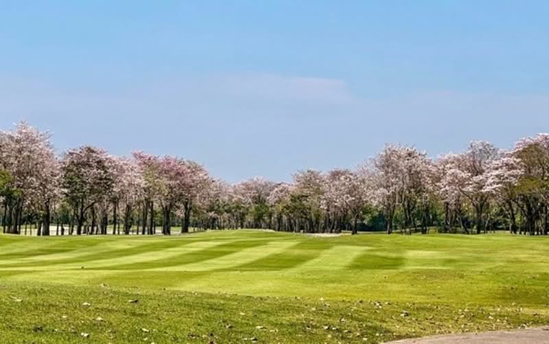 Navatanee Residence : หมู่บ้านนวธานี เรสซิเดนซ์, กรุงเทพ, ถนนนวธานี, รามอินทรา, คันนายาว, กรุงเทพ, 980 ตร.ม., บ้านเดี่ยว ขาย, โดย The Luxe Group, 500193982 - DDproperty.com