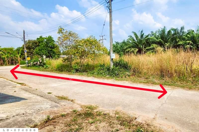 LU-974830 Land for sale in Ban Khong Pradu, Thetsaban 5, Ko Chan District, Chonburi. 80 sq.w., Chon Buri (Pattaya), Ko Chun, Ko Chan, Chon Buri (Pattaya), , 320 sqm, Land For Sale, by Benchawarin Pakkawetppisit, 500193995 - DDproperty.com