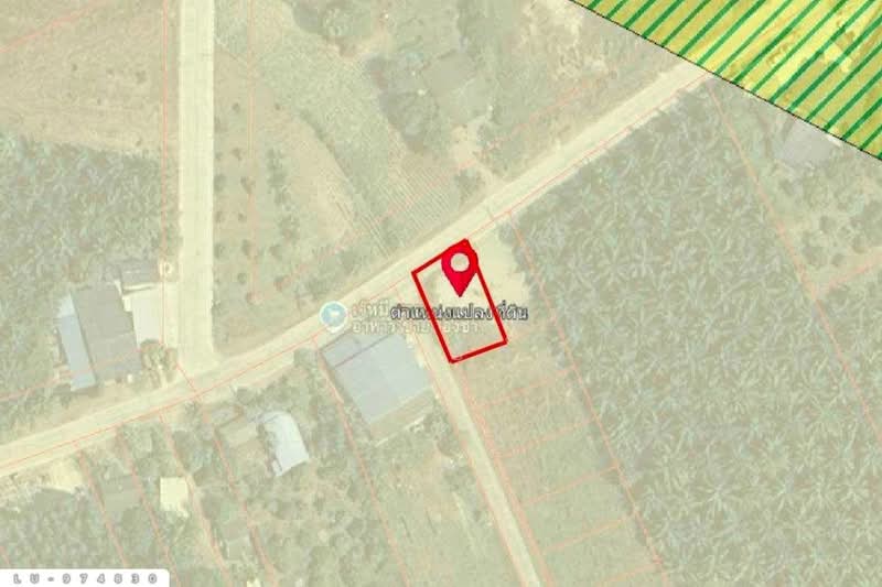 LU-974830 ที่ดินบ้านโค้งประดู่เทศบาล 5 เกาะจันทร์ 80 ตร.ว. ชลบุรี ใกล้ที่ว่าการอำเภอเกาะจันทร์, ชลบุรี, เกาะจันทร์, เกาะจัน, ชลบุรี, 320 ตร.ม., ที่ดิน ขาย, โดย เบ็ญจวริณ ภัคเวทพิสิษฐ์(เบ็ญ), 500193995 - DDproperty.com