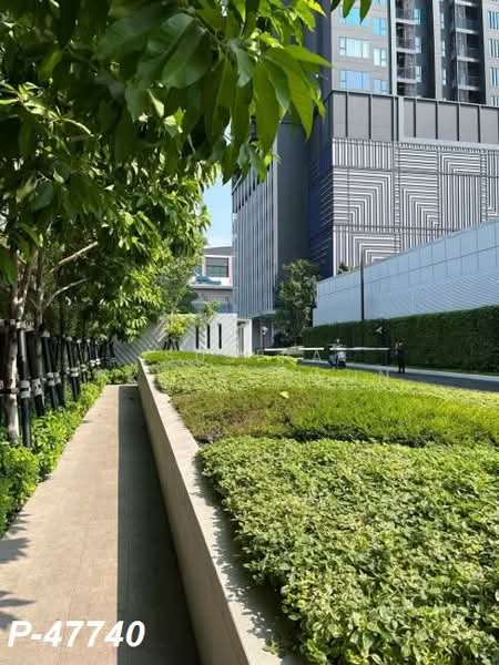 Life Phahon-Ladprao, Bangkok, 996 Phahonyothin Road, Jom Phon, Chatuchak, Bangkok, 1 Bedroom, 35 sqm, Condo For Rent, by Susira Prueksawun, 500194034 - DDproperty.com