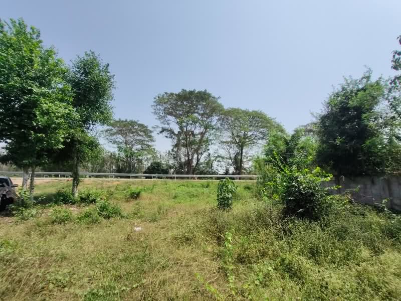 ที่ดินป่าเซ่า อุตรดิตถ์, Uttaradit, Pa Sao, Muang Uttaradit, Uttaradit, , 424 sqm, Land For Sale, by The Best Property น้อยหน่า, 500194037 - DDproperty.com
