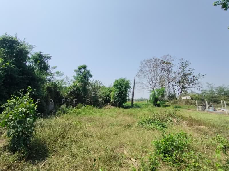 ที่ดินป่าเซ่า อุตรดิตถ์, Uttaradit, Pa Sao, Muang Uttaradit, Uttaradit, , 424 sqm, Land For Sale, by The Best Property น้อยหน่า, 500194037 - DDproperty.com