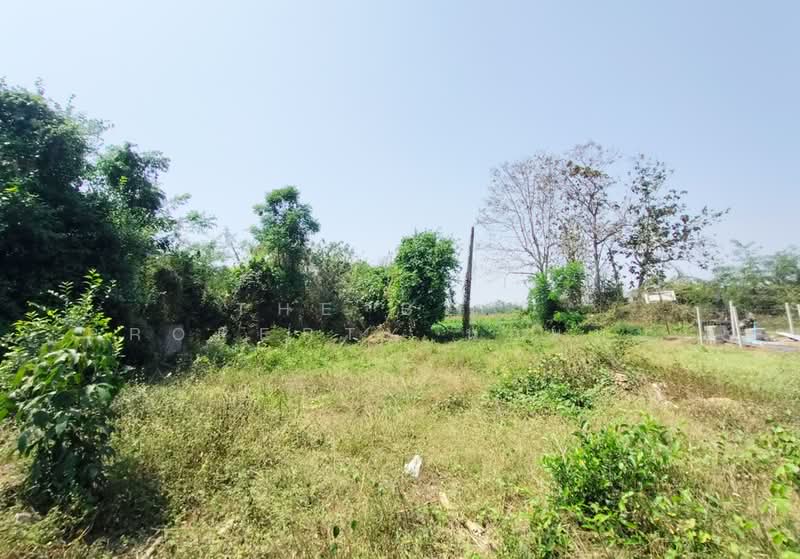 ที่ดินป่าเซ่า อุตรดิตถ์, Uttaradit, Pa Sao, Muang Uttaradit, Uttaradit, , 424 sqm, Land For Sale, by The Best Property น้อยหน่า, 500194037 - DDproperty.com