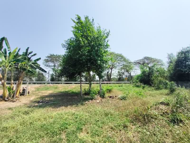 ที่ดินป่าเซ่า อุตรดิตถ์, Uttaradit, Pa Sao, Muang Uttaradit, Uttaradit, , 424 sqm, Land For Sale, by The Best Property น้อยหน่า, 500194037 - DDproperty.com