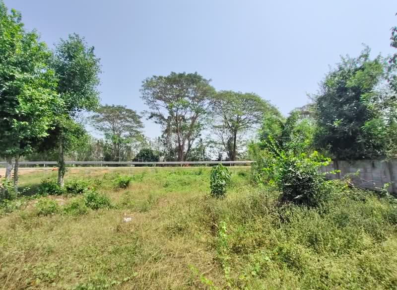 ที่ดินป่าเซ่า อุตรดิตถ์, Uttaradit, Pa Sao, Muang Uttaradit, Uttaradit, , 424 sqm, Land For Sale, by The Best Property น้อยหน่า, 500194037 - DDproperty.com