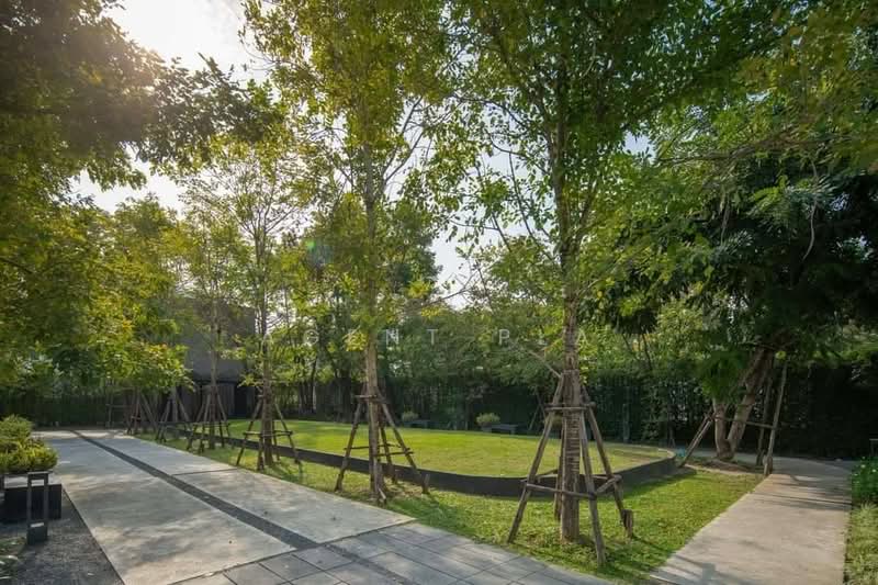 Cordiz at Udomsuk : คอร์ดิซ แอท อุดมสุข, กรุงเทพ, ถนนอุดมสุข ซอย 39, บางจาก, พระโขนง, กรุงเทพ, 220 ตร.ม., ทาวน์เฮ้าส์ ให้เช่า, โดย Agent Pla, 500194327 - DDproperty.com