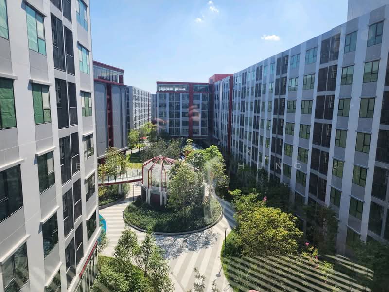 Kave Wonderland, Pathum Thani, Khlong Nung, Khlong Luang, Pathum Thani, 1 Bedroom, 24 sqm, Condo For Rent, by Boontha Phung, 500194396 - DDproperty.com