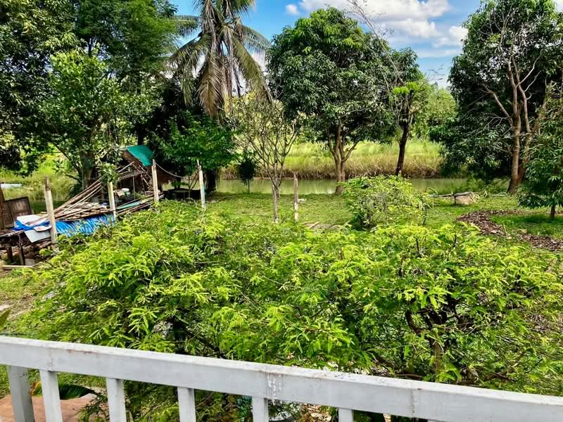 ที่ดินประจันตคาม ปราจีนบุรี, Prachin Buri, Kham Tanot, Prachantakham, Prachin Buri, , 27,548 sqm, Land For Sale, by The Best Property ตุ้ย, 500194408 - DDproperty.com