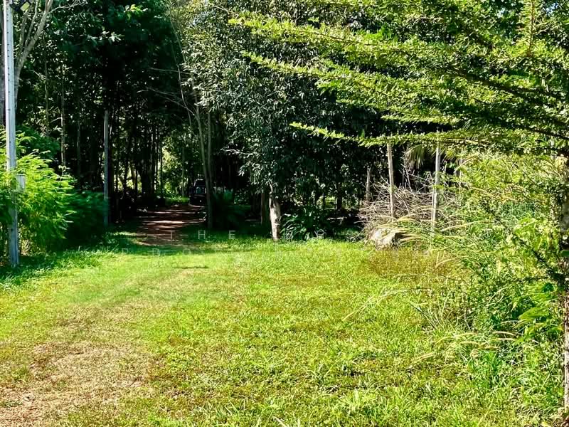 ขาย - ที่ดินประจันตคาม ปราจีนบุรี, ปราจีนบุรี