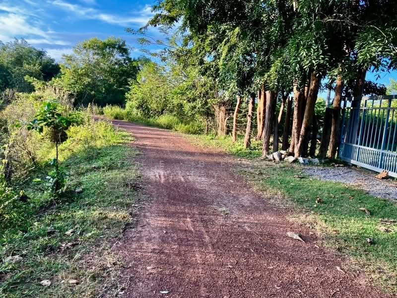 ขาย - ที่ดินประจันตคาม ปราจีนบุรี, ปราจีนบุรี