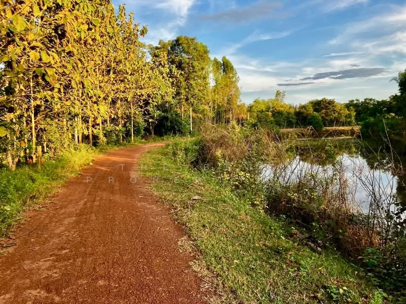 ที่ดินประจันตคาม ปราจีนบุรี, Prachin Buri, Kham Tanot, Prachantakham, Prachin Buri, , 27,548 sqm, Land For Sale, by The Best Property ตุ้ย, 500194408 - DDproperty.com