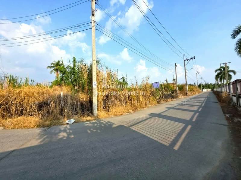 ขาย - ถนนบางม่วง-บางคูลัด แขวงบางม่วง เขตบางใหญ่ จังหวัดนนทบุรี 11140, นนทบุรี