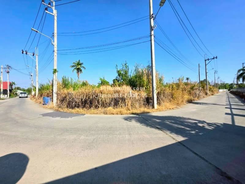 ขาย - ถนนบางม่วง-บางคูลัด แขวงบางม่วง เขตบางใหญ่ จังหวัดนนทบุรี 11140, นนทบุรี