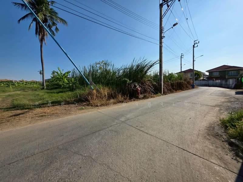 ขาย - ถนนบางม่วง-บางคูลัด แขวงบางม่วง เขตบางใหญ่ จังหวัดนนทบุรี 11140, นนทบุรี