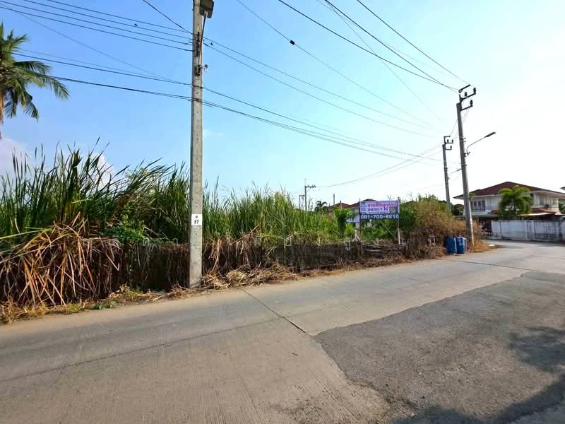 ขาย - ถนนบางม่วง-บางคูลัด แขวงบางม่วง เขตบางใหญ่ จังหวัดนนทบุรี 11140, นนทบุรี