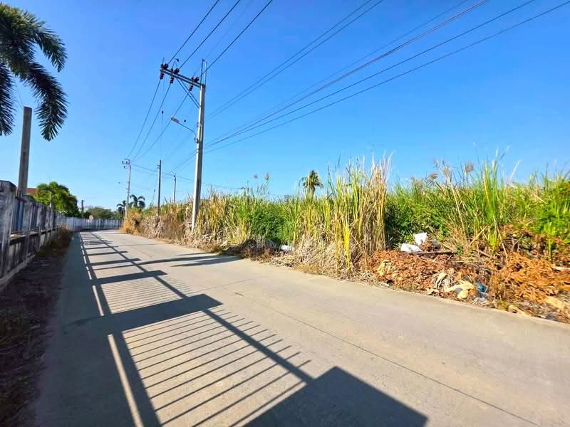 ขาย - ถนนบางม่วง-บางคูลัด แขวงบางม่วง เขตบางใหญ่ จังหวัดนนทบุรี 11140, นนทบุรี