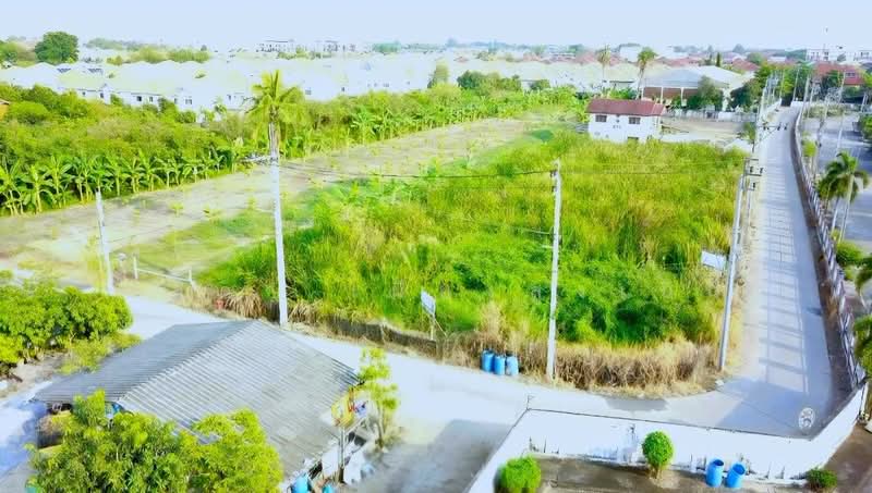 ขาย - ถนนบางม่วง-บางคูลัด แขวงบางม่วง เขตบางใหญ่ จังหวัดนนทบุรี 11140, นนทบุรี