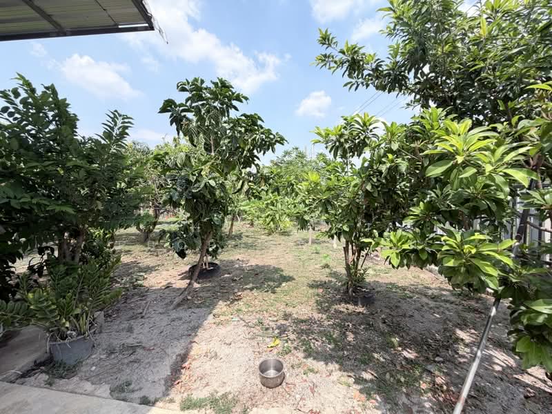 บ้านเดี่ยวบ้านโป่ง ราชบุรี, Ratchaburi, Khao Khlung, Ban Pong, Ratchaburi, 2 Bedrooms, 120 sqm, Single Detached House For Sale, by The Best Property ส้ม, 500194559 - DDproperty.com